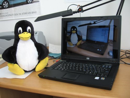 plyšový tučňák a můj stařičký notebook