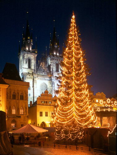 Praha ? Staroměstské náměstí ? vánoční strom